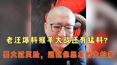 老汪爆料杨仪视频,揭秘背后惊人真相